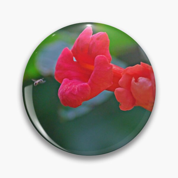 Item preview, Trumpet Vine Flowers designed and sold by Artsy-Creator.