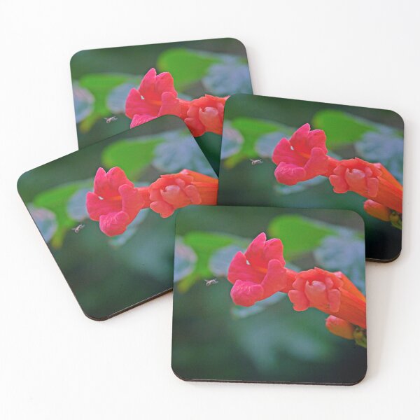 Item preview, Trumpet Vine Flowers designed and sold by Artsy-Creator.