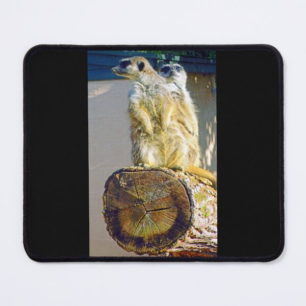 Item preview, Meerkat Look Outs designed and sold by Oppos Community Farm.