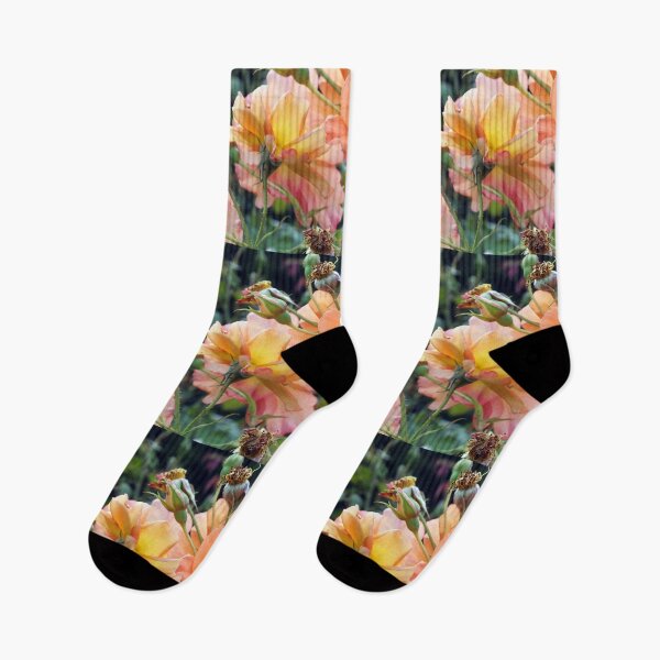 Item preview, Peach Coloured Roses  designed and sold by pinkal.