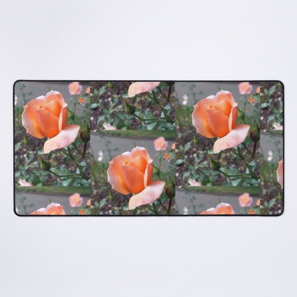 Item preview, Peach Rosebud designed and sold by pinkal.