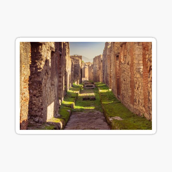 Item preview, The Streets of Pompeii, Italy designed and sold by RobertNPhoto.