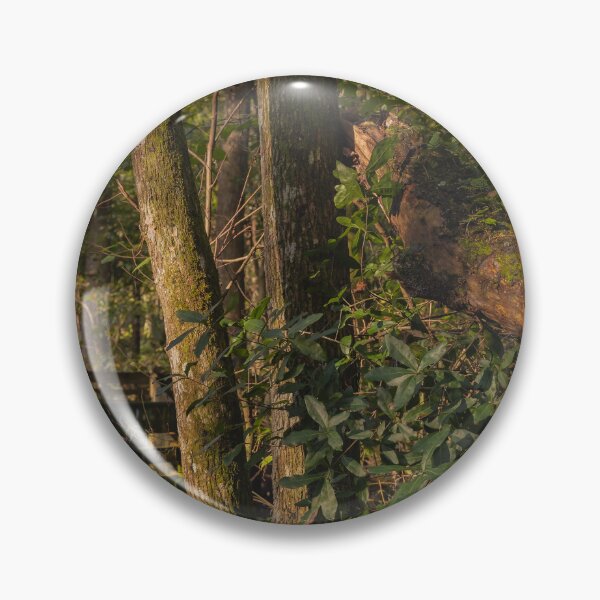 Item preview, Sunlight filters through a dense forest, highlighting a wooden walkway surrounded by lush green foliage designed and sold by EyezWatchin.