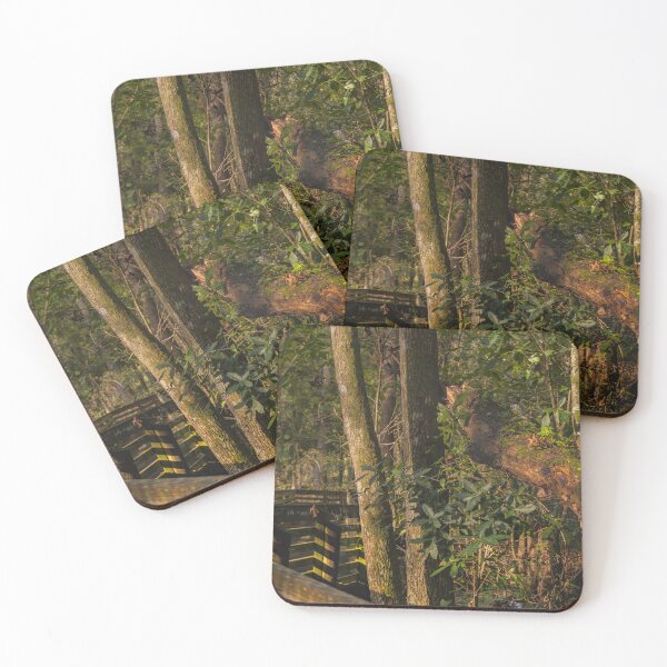 Item preview, Sunlight filters through a dense forest, highlighting a wooden walkway surrounded by lush green foliage designed and sold by EyezWatchin.