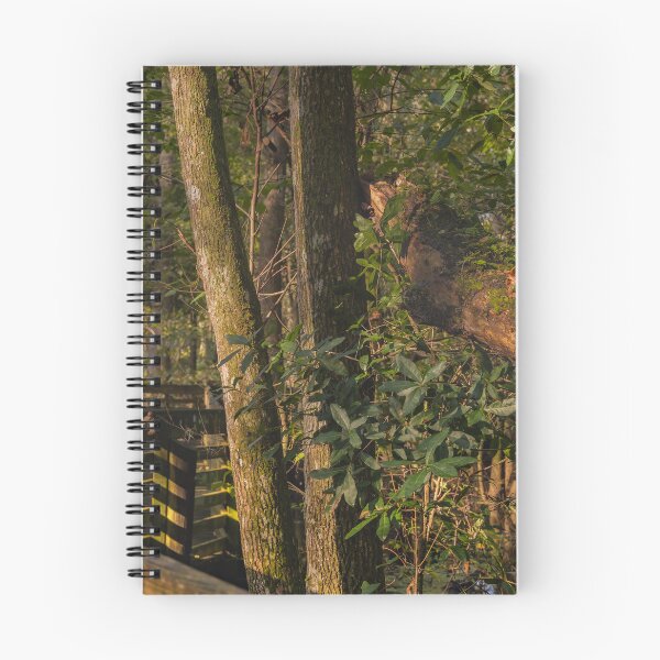 Item preview, Sunlight filters through a dense forest, highlighting a wooden walkway surrounded by lush green foliage designed and sold by EyezWatchin.
