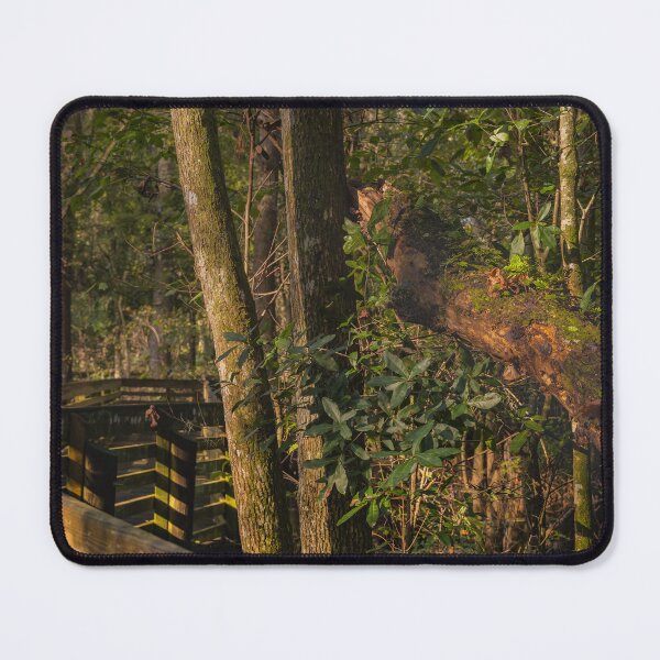Item preview, Sunlight filters through a dense forest, highlighting a wooden walkway surrounded by lush green foliage designed and sold by EyezWatchin.