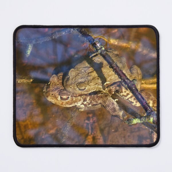 Item preview, Frolicking Frogs designed and sold by Kat Simmons.
