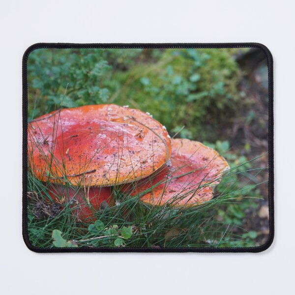 Item preview, Red mushrooms designed and sold by El-images1.