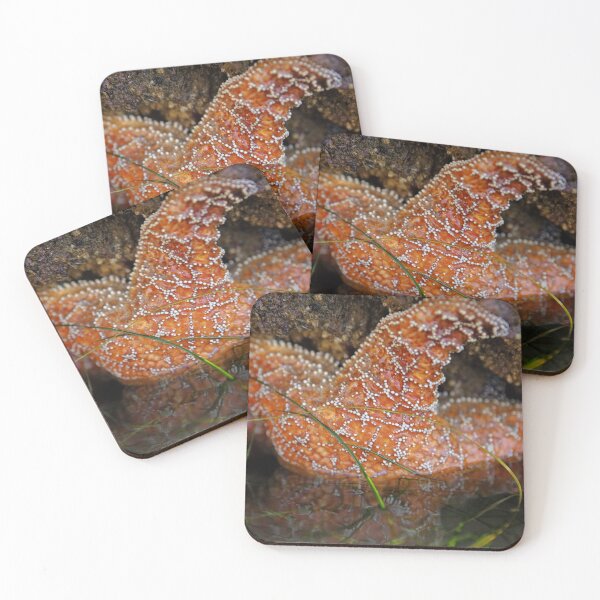Item preview, Orange Sea Star designed and sold by Cathy L. Gregg.