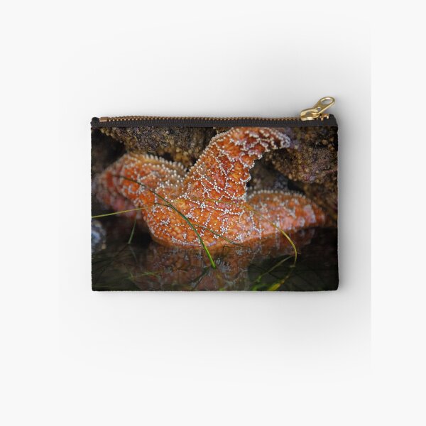 Item preview, Orange Sea Star designed and sold by Cathy L. Gregg.