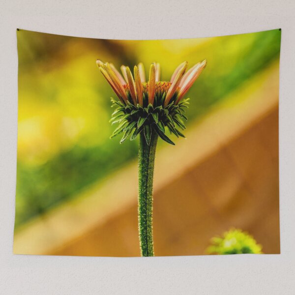 Item preview,  Almost A Cone Flower designed and sold by Kay Brewer.