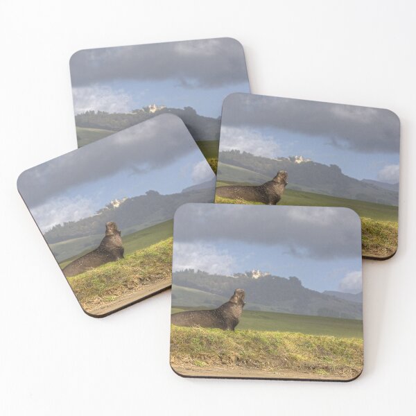 Item preview, Hearst Castle Elephant Seal designed and sold by Cathy L. Gregg.