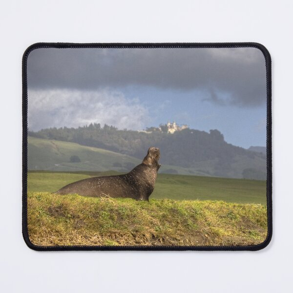 Item preview, Hearst Castle Elephant Seal designed and sold by Cathy L. Gregg.