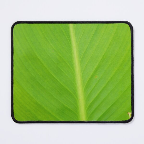 Item preview, Up close leaf photograph designed and sold by El-images1.