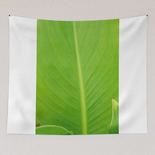Item preview, Up close leaf photograph designed and sold by El-images1.