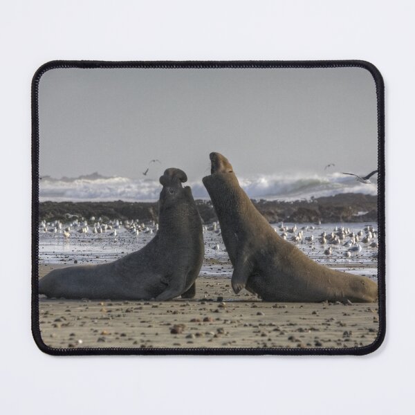 Item preview, Bull Fight designed and sold by Cathy L. Gregg.