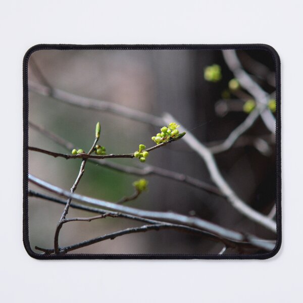 Item preview, Spring Buds designed and sold by Artsy-Creator.
