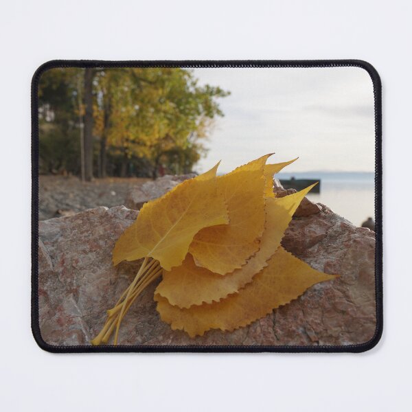 Item preview, fall leaves designed and sold by distracted.