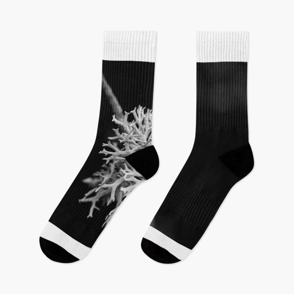 Item preview, Black and white lichen  designed and sold by El-images1.