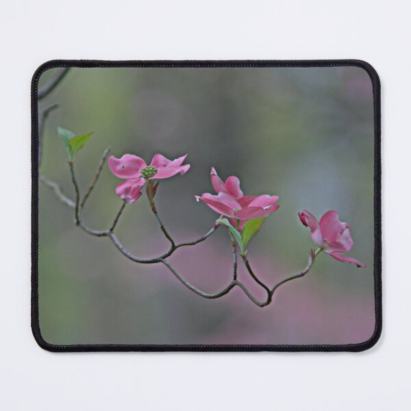 Item preview, Pink Dogwood, Tyler Aboretum designed and sold by Artsy-Creator.