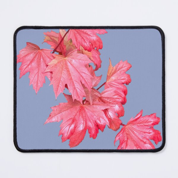 Item preview, Leaves designed and sold by indiafrankk.