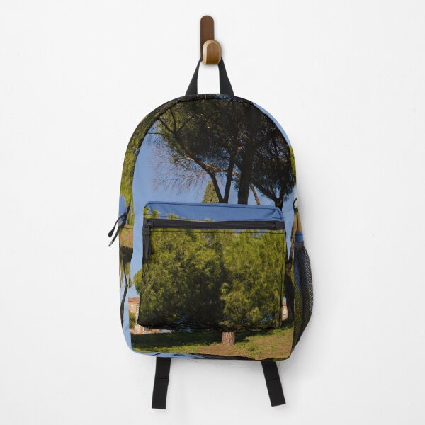Item preview, A beautiful scene in Rome, Italy designed and sold by Graysgrams.