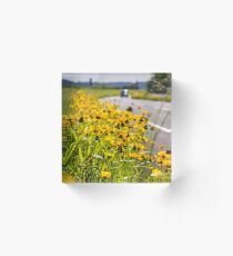 Roadside Flowers Acrylic Block