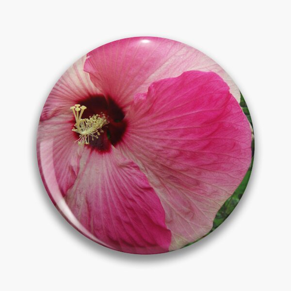 Item preview, Closeup on a tropical pink flower designed and sold by Topmel.