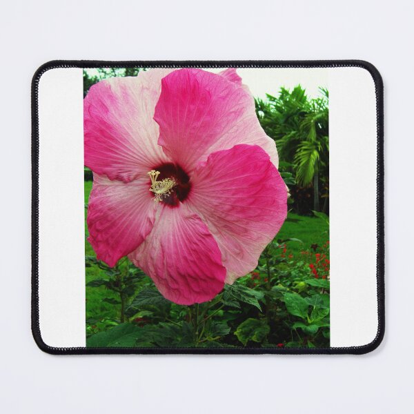 Item preview, Closeup on a tropical pink flower designed and sold by Topmel.