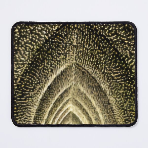 Item preview, Lightscape designed and sold by ontological.