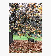 Fitzroy Gardens Photographic Print