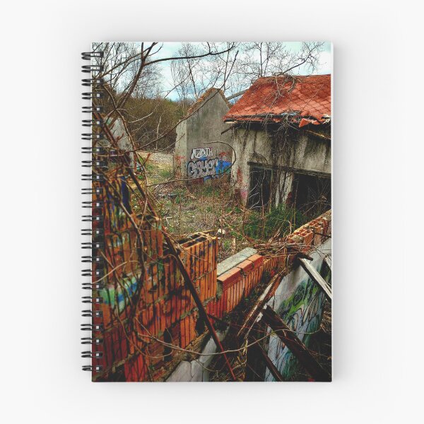 Item preview, Edificio abandonado Valle del Hudson designed and sold by rsandstedt5386.