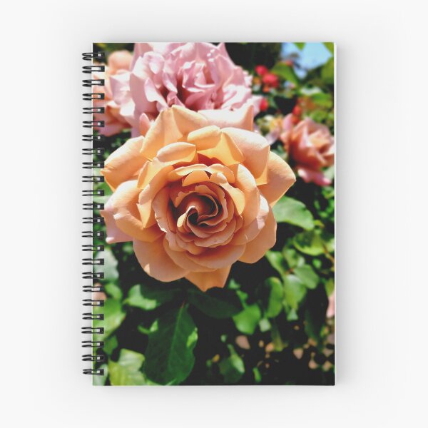 Item preview, Parque Balboa Rosas designed and sold by rsandstedt5386.