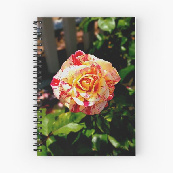 Item preview, Parque Balboa Rosas designed and sold by rsandstedt5386.