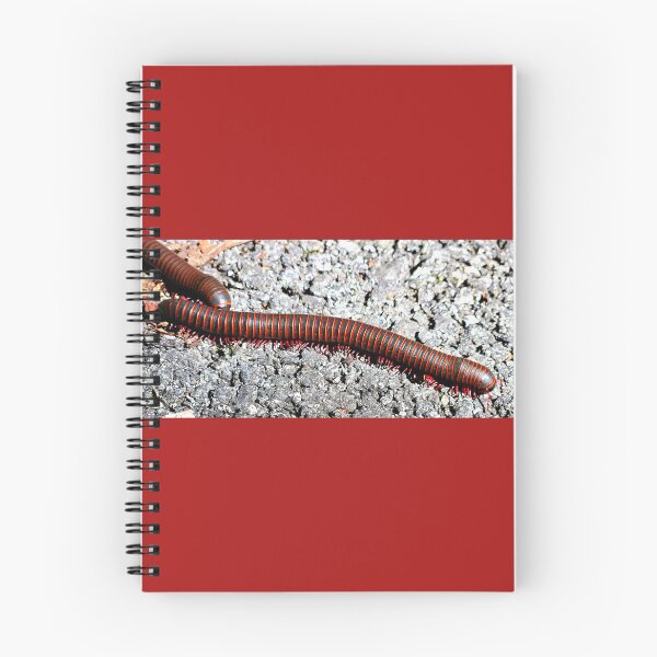 Item preview, American Giant Millipede  designed and sold by rsandstedt5386.