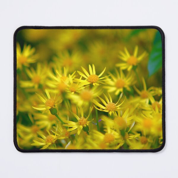 Item preview, Yellow Ragwort designed and sold by Artsy-Creator.