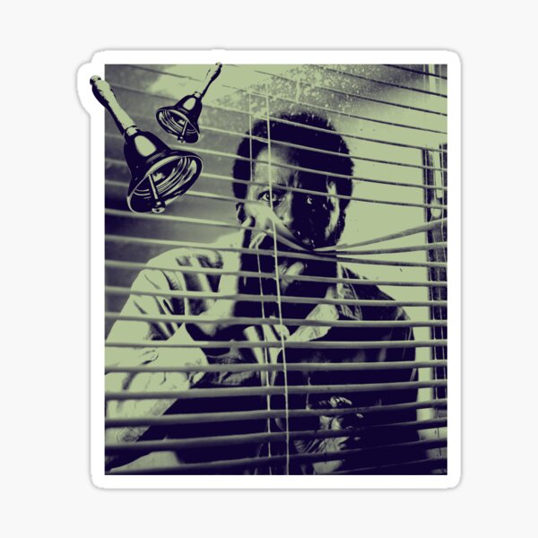 THROUGH THE BLINDS | BOYD STEVENS Sticker