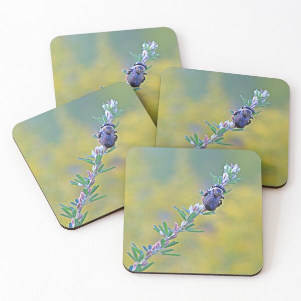 Item preview, Carpenter Bee at Rest designed and sold by Artsy-Creator.