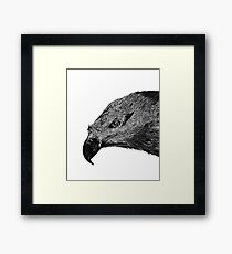 Eagle No.1 Framed Print