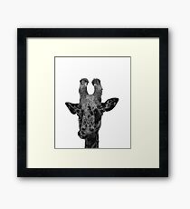 Giraffe No.1 Framed Print