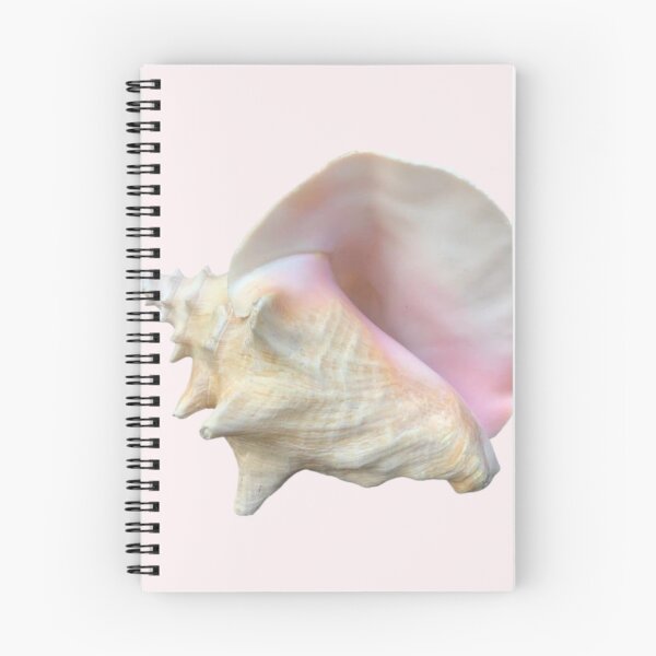 Item preview, Pink Sea Conch designed and sold by Laxium.