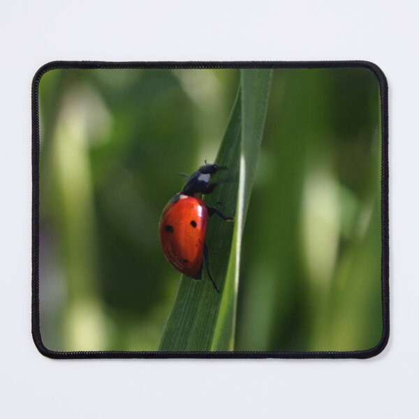 Item preview, Lady Bug designed and sold by Cathy L. Gregg.