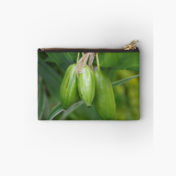 Item preview, Flag Iris Seed Pods (Iris pseudacorus) designed and sold by lezvee.