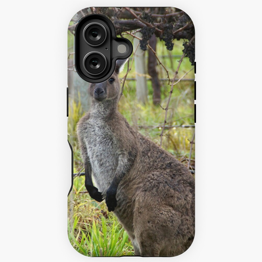Item preview, iPhone Magsafe Tough Case designed and sold by MagpieSprings.