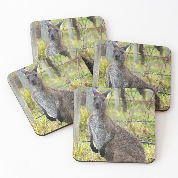 Item preview, Roo in the Vineyard by Avril Thomas at Magpie Springs designed and sold by MagpieSprings.