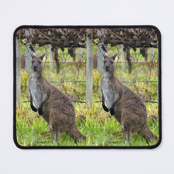 Item preview, Roo in the Vineyard by Avril Thomas at Magpie Springs designed and sold by MagpieSprings.