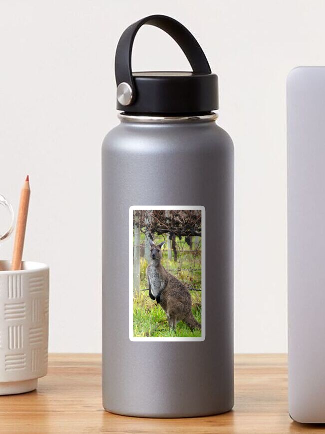 Thumbnail 1 of 3, Sticker, Roo in the Vineyard by Avril Thomas at Magpie Springs designed and sold by MagpieSprings.