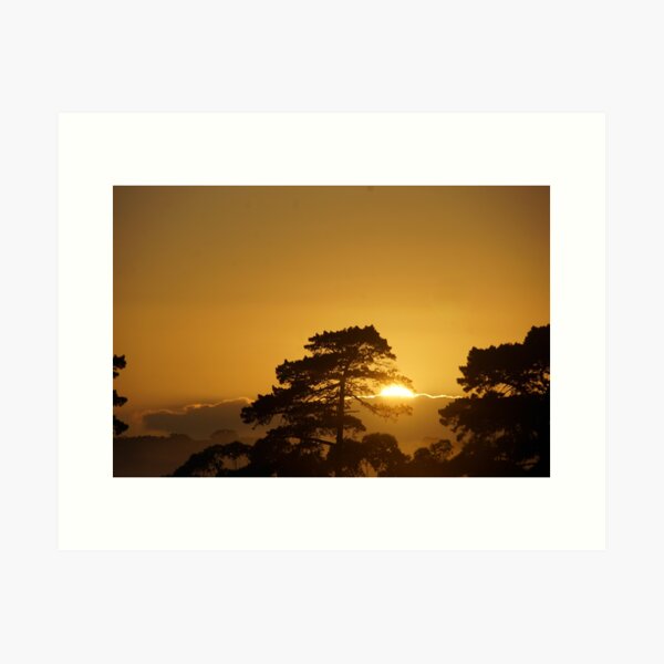 Item preview, Golden Sunrise by Avril Thomas at Magpie Springs designed and sold by MagpieSprings.