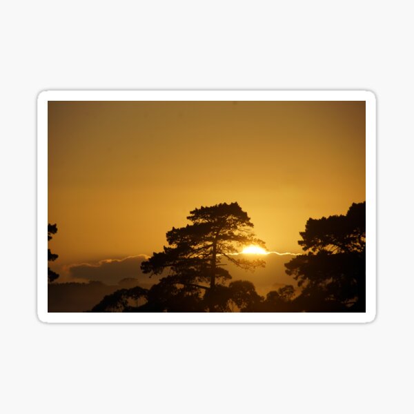 Item preview, Golden Sunrise by Avril Thomas at Magpie Springs designed and sold by MagpieSprings.