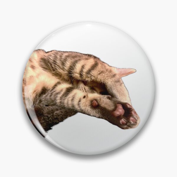 Item preview, Sleepy kitten, hobbies include napping  designed and sold by aadventures.